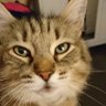 Profilbild von theninetyninepercent