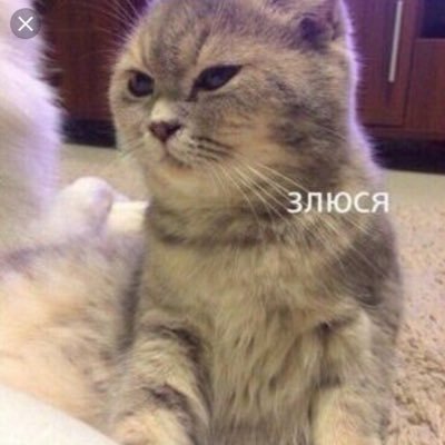 золотко's profile picture
