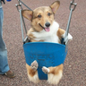 ifdurdad 𓅃 的头像