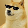 FatDogShibe profil fotoğrafı