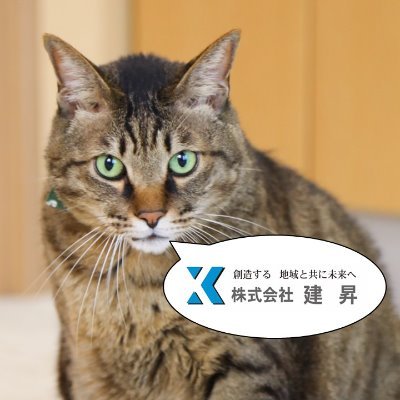 kk_kenshou_jp's profile picture