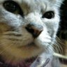 monger-X's profile picture
