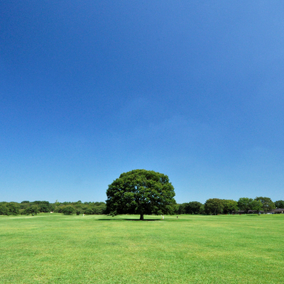 国営昭和記念公園's profile picture