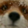 orijinalpelinsuu's profile picture