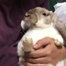 こいち 的头像