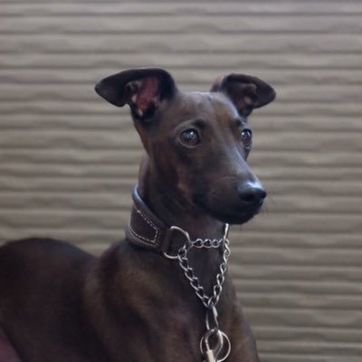 JIGPIX1's profile picture