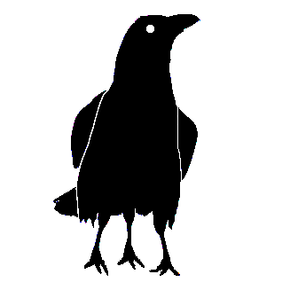 moke_karasu's profile picture