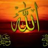 صالح رياش 的头像