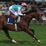 G1 HORSE RACING 的头像