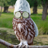 Profilbild von Siarhei
