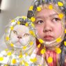 Alifa Nasyahta O profil fotoğrafı