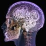 Neuroblues's profile picture