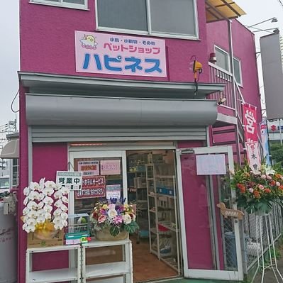 埼玉県ペットショップハピネス 小鳥 小動物's profile picture