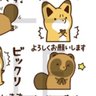 光のきつね🌽's profile picture