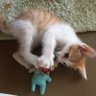 kiyominnn@LWBR profil fotoğrafı