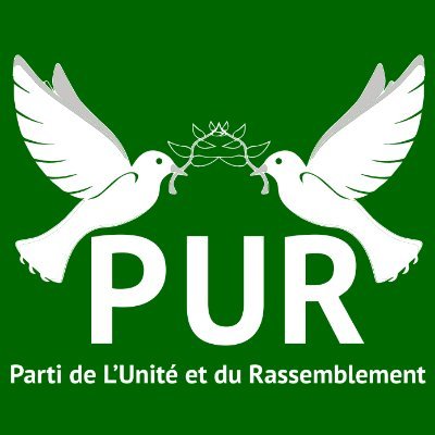 Parti_PUR's profile picture