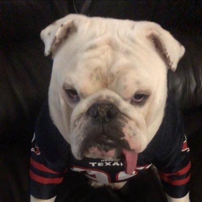RidleyHowell's profile picture
