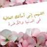 الندى 的头像