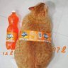 ขอให้ตัวเองนอนหลับได้ดีในทุกคืน's profile picture