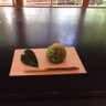 ティシル 的头像