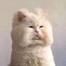 켕주 profil fotoğrafı