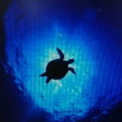 りゅ🌊う🌊 か🌊's profile picture