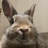 Profilbild von むぎ