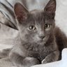 Lilibzh's profile picture