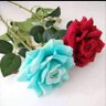 د.مجدى حسن's profile picture