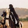 بن حميدة الحاج الطاهر's profile picture
