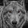 Profilbild von Kevin Hewicker