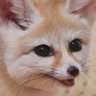 blank's profile picture