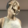 Profilbild von Jon Q. Pleed V