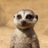 Hiroki Bobo's profile picture