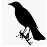 Jumpybird profil fotoğrafı