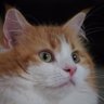 k16fb06 profil fotoğrafı