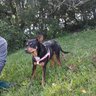 Tacha profil fotoğrafı