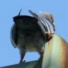 うゅーん🍄's profile picture