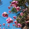 Фото профиля まさまさ