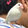 Erinao(えりなお)'s profile picture