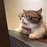 Matt profil fotoğrafı