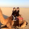 الشمالي (فرحان ) 的头像
