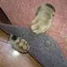 なべねこ's profile picture