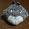 Фото профиля ふわもこミニアカウント🐈🐩🐨🍡🐥