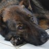 Lyn N profil fotoğrafı