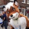 Arco The Fox💙 profil fotoğrafı