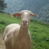 Profilbild von Alise48