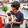 Kartik's profile picture