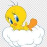 nickoC profil fotoğrafı