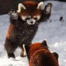 そもそも 的头像
